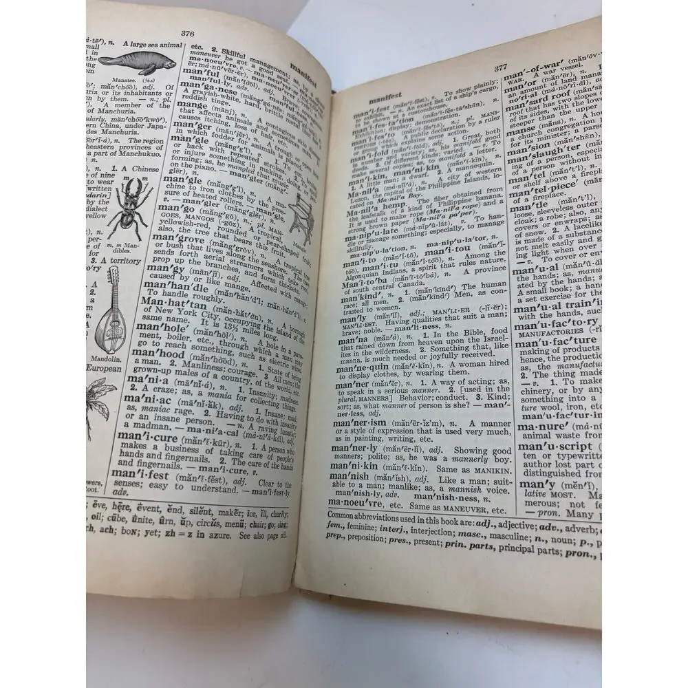 Webster's Elementary Dictionary 1935 Boys & Girls School Copy Vintage Book